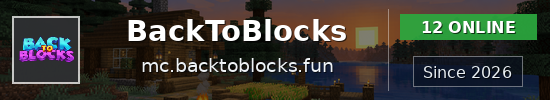BackToBlocks Minecraft server banner