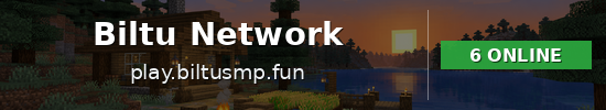 Biltu Network Minecraft server banner