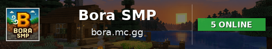 Bora SMP Minecraft server banner