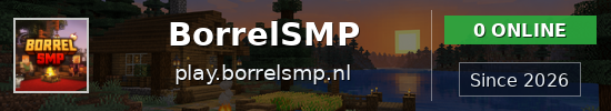 BorrelSMP Minecraft server banner