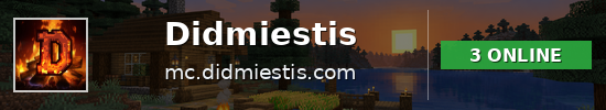 Didmiestis Minecraft server banner