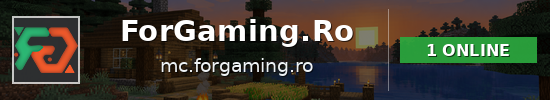 ForGaming.Ro Minecraft server banner