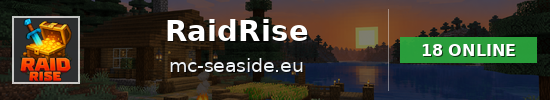 RaidRise Minecraft server banner