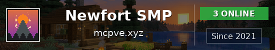 Newfort SMP Minecraft server banner