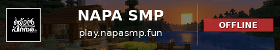 NAPA SMP Minecraft server banner