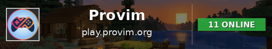 Provim Minecraft server banner