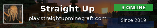 Straight Up Minecraft server banner