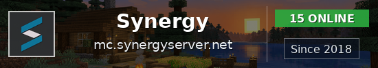 Synergy Minecraft server banner