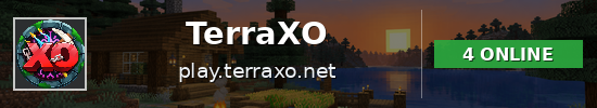 TerraXO Minecraft server banner