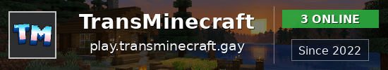 TransMinecraft Minecraft server banner