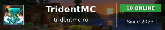 TridentMC Minecraft server banner