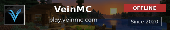 VeinMC Minecraft server banner
