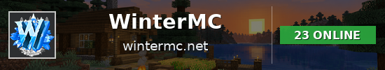 WinterMC Minecraft server banner