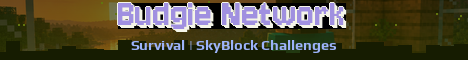 Budgie Network Minecraft server banner