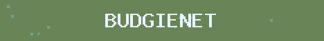 Budgie Network Minecraft server banner