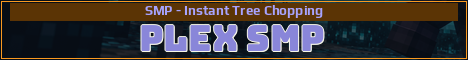 PLEX SMP Minecraft server banner