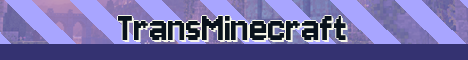 TransMinecraft Minecraft server banner