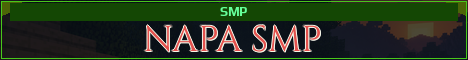 NAPA SMP Minecraft server banner