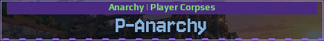 P-Anarchy Minecraft server banner