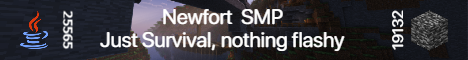 Newfort SMP Minecraft server banner