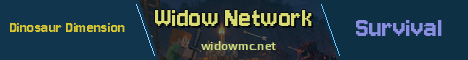 Widow Network Minecraft server banner