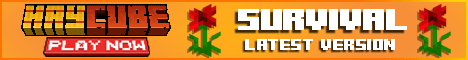 HayCube Minecraft server banner