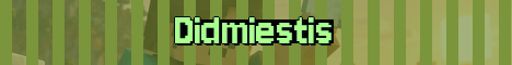 Didmiestis Minecraft server banner