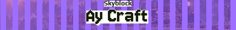 Ay Craft Minecraft server banner
