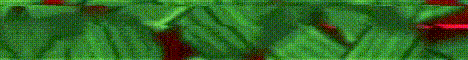 BoxPvP Network Minecraft server banner