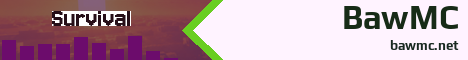 BawMC Minecraft server banner