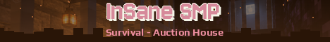 InSane SMP Minecraft server banner