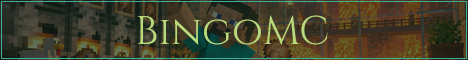 BingoMC Minecraft server banner