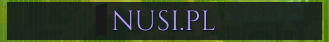 NUSI.PL Minecraft server banner
