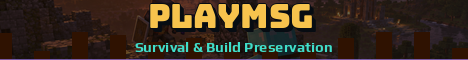 PlayMSG Minecraft server banner