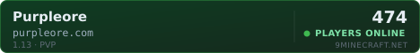 PurpleOre Minecraft server banner