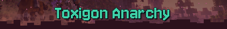 Toxigon Anarchy Minecraft server banner