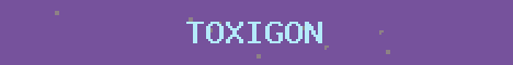 Toxigon Anarchy Minecraft server banner