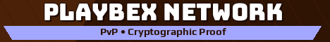 Playbex Network Minecraft server banner