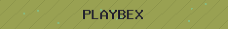 Playbex Network Minecraft server banner