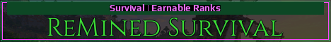 ReMined Survival Minecraft server banner