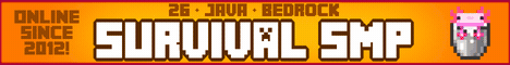 InsanityCraft Minecraft server banner