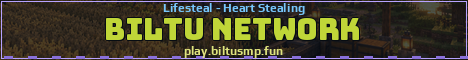Biltu Network Minecraft server banner