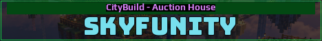 SkyFunity Minecraft server banner