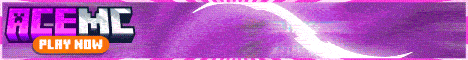 ACE MC Minecraft server banner