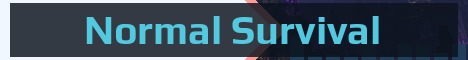 Normal Survival Minecraft server banner
