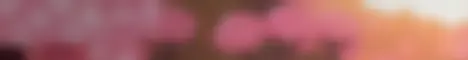 SquigCraft SMP Minecraft server banner