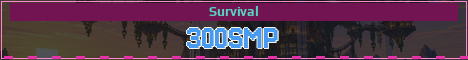 300SMP Minecraft server banner