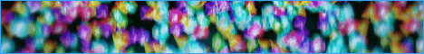 Toxiss Minecraft server banner