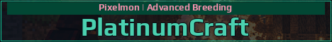 PlatinumCraft Minecraft server banner