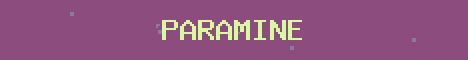Paramine Network Minecraft server banner